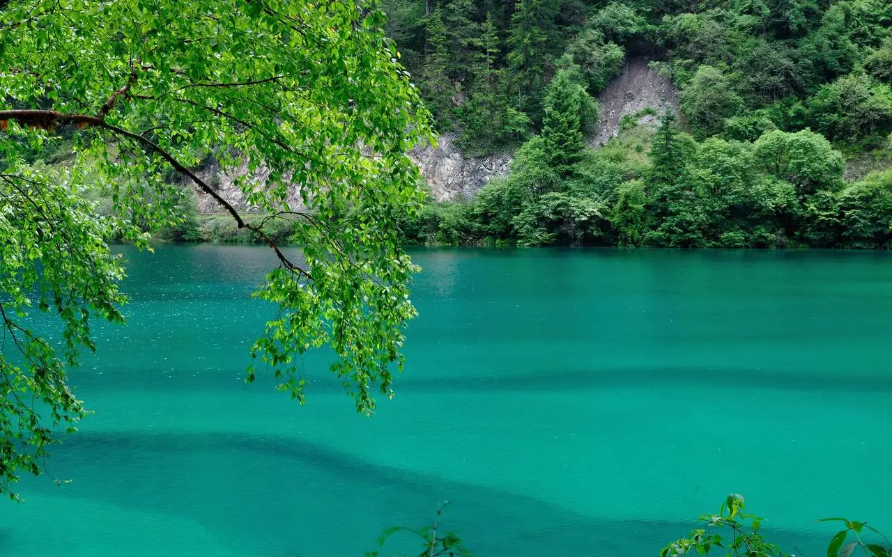 高端可靠性
